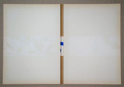 Henri MATISSE (nachher) - La Piscine - Panneau A, 1958 - Lithographie 2