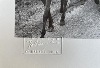 Raul CORRALES  – Cabarelleria – Photo signée 2