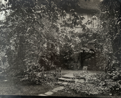 Josef SUDEK - A walk in the magical garden, circa 1960 - Photographie argentique 2