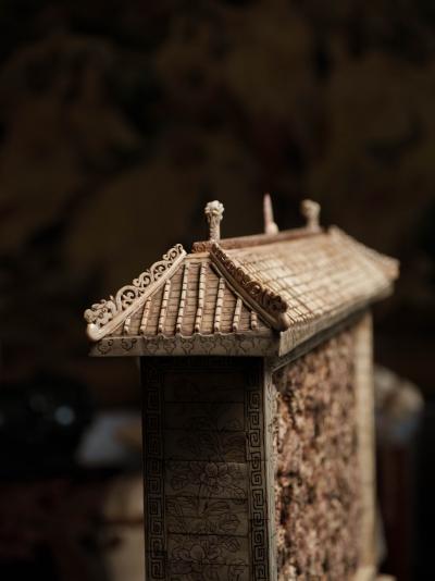 Le temple des neuf dragons, Chine - Os de bovin 2