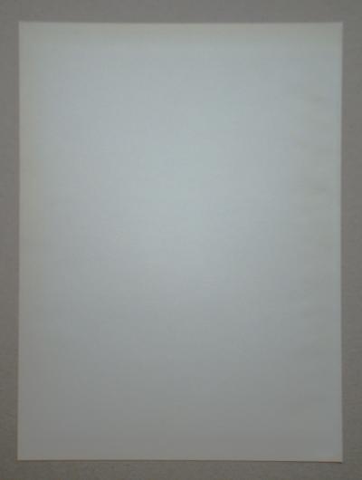 Georges BRAQUE ( d’après ) - Vase De Fleures Jaunes, 1955 - Lithographie signée 2