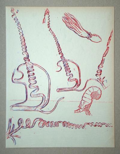 Max ERNST - Composition pour XXe Siècle, 1974 - Lithographie originale 2