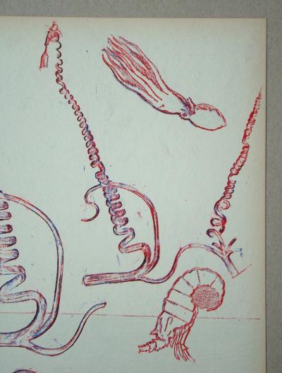 Max ERNST - Composition pour XXe Siècle, 1974 - Lithographie originale 2
