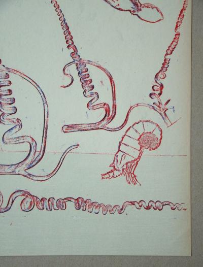 Max ERNST - Composition pour XXe Siècle, 1974 - Lithographie originale 2