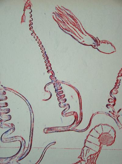 Max ERNST - Composition pour XXe Siècle, 1974 - Lithographie originale 2
