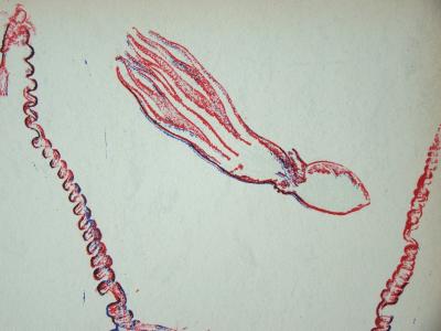 Max ERNST - Composition pour XXe Siècle, 1974 - Lithographie originale 2