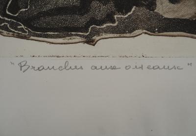 Colette PETTIER (1907-1983), Branches aux oiseaux - Gravure sur cuivre originale, signée 2