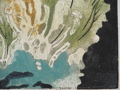 Colette PETTIER (1907-1983), Végétation solaire, 1981 - Gravure sur cuivre originale signée 2
