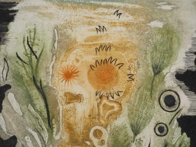 Colette PETTIER (1907-1983), Végétation solaire, 1981 - Gravure sur cuivre originale signée 2