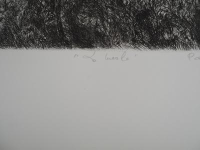Paulette HUMBERT, Le merle, 1980 - Gravure sur cuivre originale Signée 2