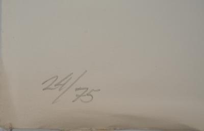Ecole XXème siècle,  L'ange de la mort, 1993 - Gravure sur cuivre originale Signée 2