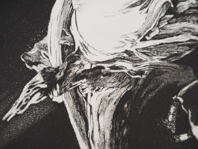 Jean-Louis VIARD, L'ange du bizarre, 1992 - Gravure sur cuivre originale, aquatinte Signée 2