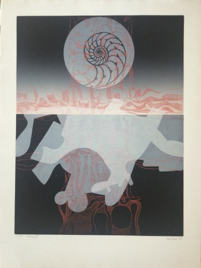 Antonio ANDIVERO - Iceberg II ,1978 - lithographie originale signée 2