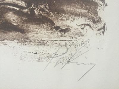 Franz PRIKING - Cheval cabré - Lithographie originale signée 2