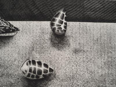 Jacques RAMONDOT (1928-1999), La réunion de coquillages - Gravure sur cuivre originale Signée 2