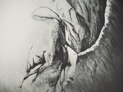 Gérard TITUS-CARMEL, Cosmologie sphérique, 1972 - Gravure originale Signée 2