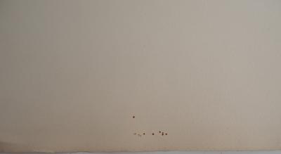 Gérard TITUS-CARMEL, Cosmologie sphérique, 1972 - Gravure originale Signée 2