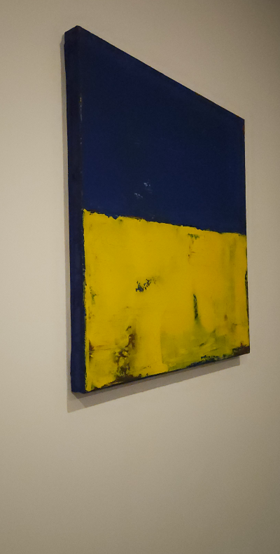 Mr Garcia - Ukraine - Technique mixte sur toile 2