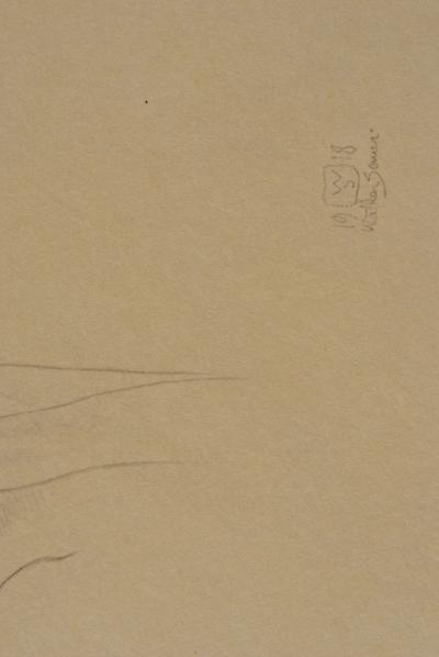 Walter SAUER : Femme de profil, Héliogravure signée 2