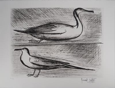 Bernard BUFFET : Bretagne, Oiseaux de mer, Gravure originale signée 2