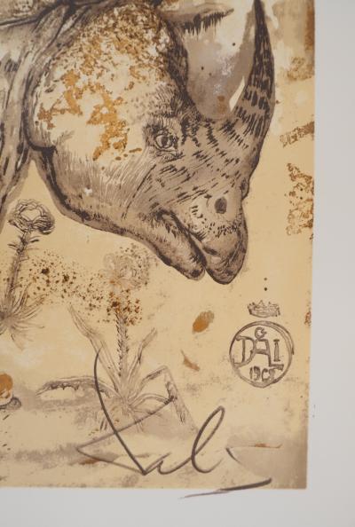 Salvador DALI : Rhinocéros, Hommage à Albrecht Dürer, Affiche en Lithographie 2