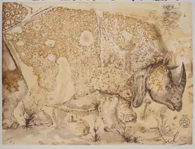 Salvador DALI : Rhinocéros, Hommage à Albrecht Dürer, Affiche en Lithographie 2
