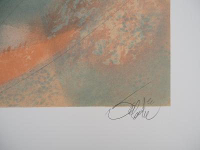 Jean-Baptiste VALADIE : Brassens, Vénus Callipyge, Lithographie originale signée 2