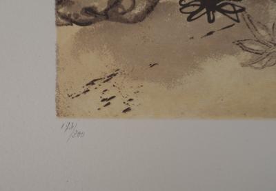 Salvador DALI : Rhinocéros, Hommage à Albrecht Dürer, Affiche en Lithographie signée 2