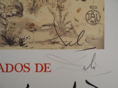 Salvador DALI : Rhinocéros, Hommage à Albrecht Dürer, Affiche en Lithographie signée 2