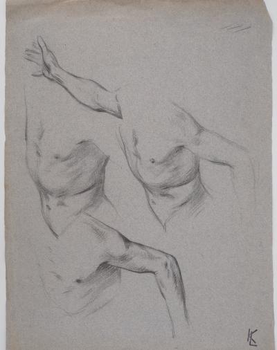 Léopold Franz KOWALSKI: Étude du torse, dessin original 2