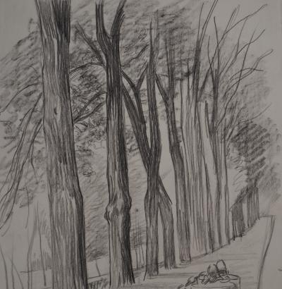 Léopold Franz KOWALSKI: Allée de platanes, dessin original 2