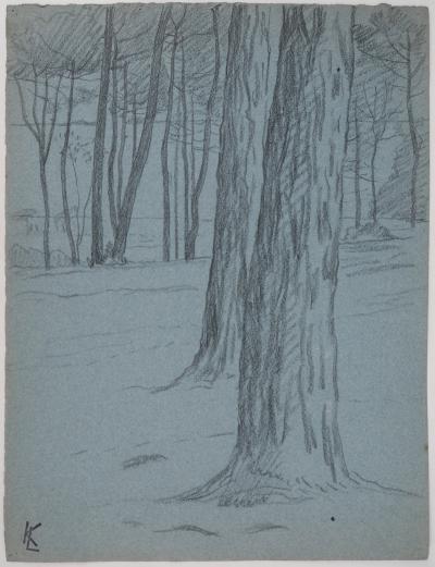 Léopold Franz KOWALSKI: Troncs de clairière, dessin original 2