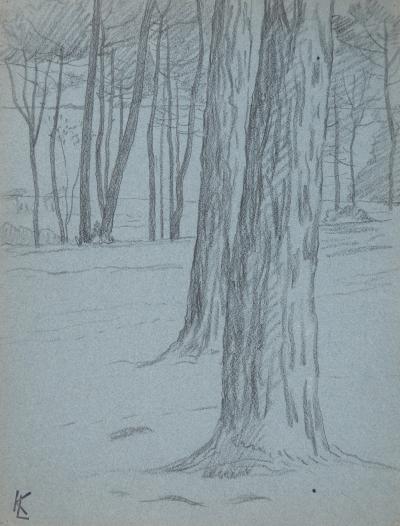 Léopold Franz KOWALSKI: Troncs de clairière, dessin original 2
