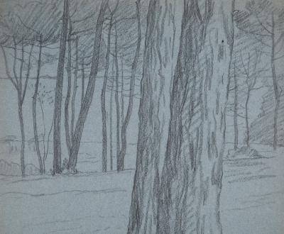 Léopold Franz KOWALSKI: Troncs de clairière, dessin original 2