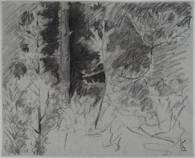 Léopold Franz KOWALSKI: Forêt de nuit, dessin original 2