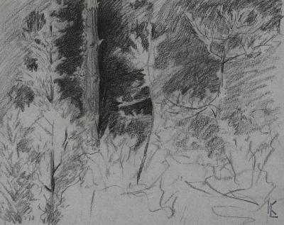 Léopold Franz KOWALSKI: Forêt de nuit, dessin original 2