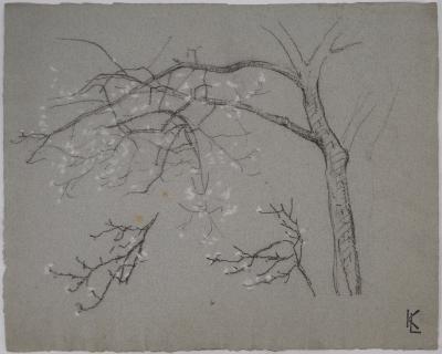 Léopold Franz KOWALSKI: Branche en fleur, dessin original 2