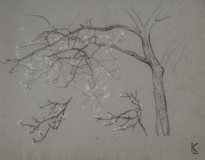 Léopold Franz KOWALSKI: Branche en fleur, dessin original 2