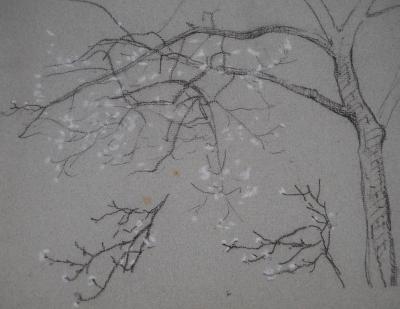Léopold Franz KOWALSKI: Branche en fleur, dessin original 2