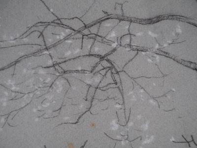 Léopold Franz KOWALSKI: Branche en fleur, dessin original 2