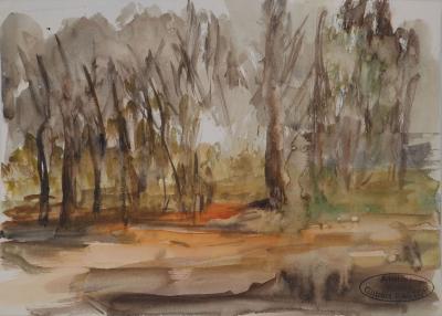 Gilbert PASTOR : Sous-Bois, Aquarelle originale signée 2