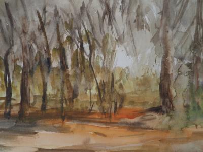 Gilbert PASTOR : Sous-Bois, Aquarelle originale signée 2
