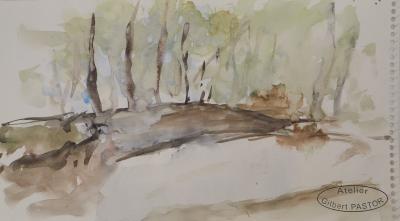 Gilbert PASTOR : Allée dans les arbres, Aquarelle originale signée 2