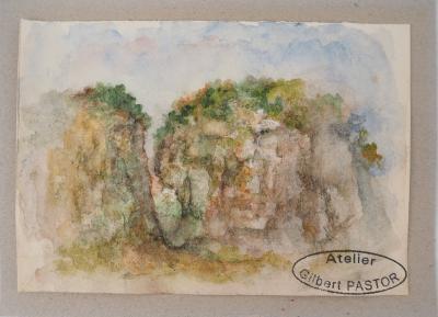 Gilbert PASTOR : Brèche dissimulée par des plantes, Aquarelle originale signée 2
