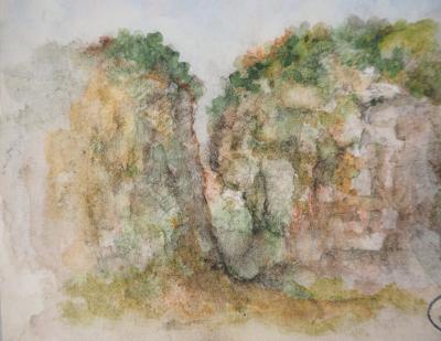 Gilbert PASTOR : Brèche dissimulée par des plantes, Aquarelle originale signée 2