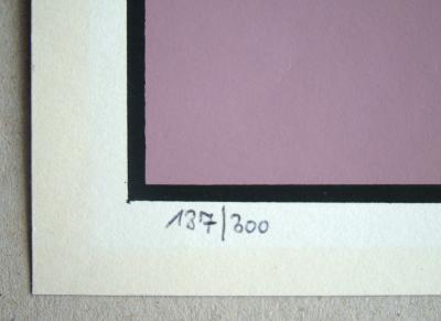 Victor VASARELY - Denfert 2, 1963 - Original screenprint numbered 2