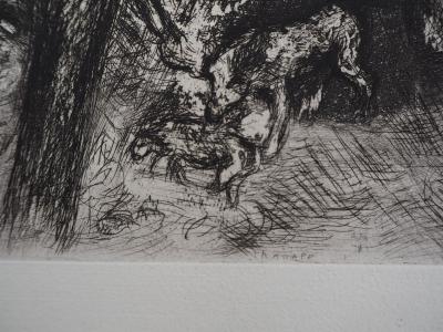 Marc CHAGALL : Les loups et les brebis, Gravure originale signée 2