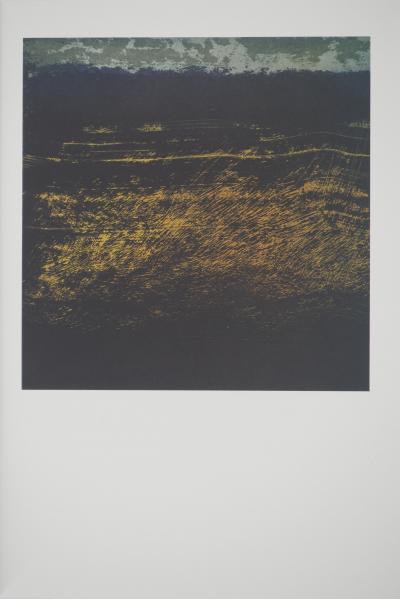 Frédéric BENRATH : Le petit mur jaune à contre-jour, Héliogravure 2