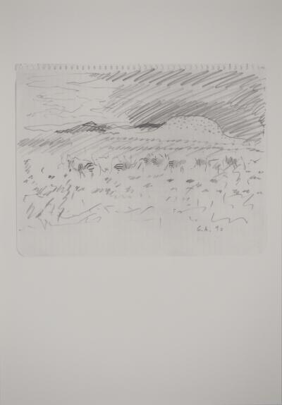 Gilles AILLAUD : Paysage avec zèbres, Héliogravure signée 2