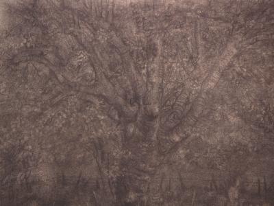 Gérard BARTHELEMY : Paysage avec petite fille, Héliogravure 2